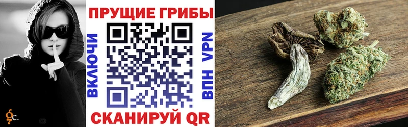 Галлюциногенные грибы GOLDEN TEACHER  купить   Елизаветинская 